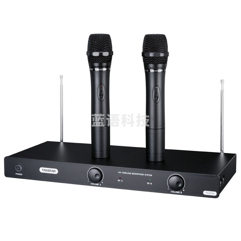 得胜（TAKSTAR）TS-6720无线话筒一拖二 家庭KTV会议舞台演出专用高质无线话筒 黑色
