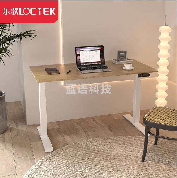 乐歌电动升降桌电脑桌站立办公学习桌写字桌书桌iE3/1.2m原木色套装