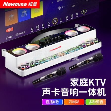 纽曼(Newmine)X5 声卡音响一体机 无线麦克风 双话筒