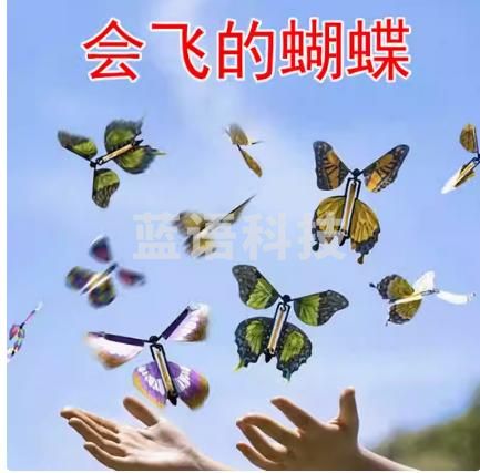 儿童仿真神奇会飞的蝴蝶玩具幼儿园减压创意整蛊魔术道具 20只颜色随机