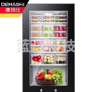 德玛仕 DEMASHI LG-90YL 食品留样柜 学校幼儿园公司食堂用水果蔬菜留样保鲜冷藏展示柜 工程款 