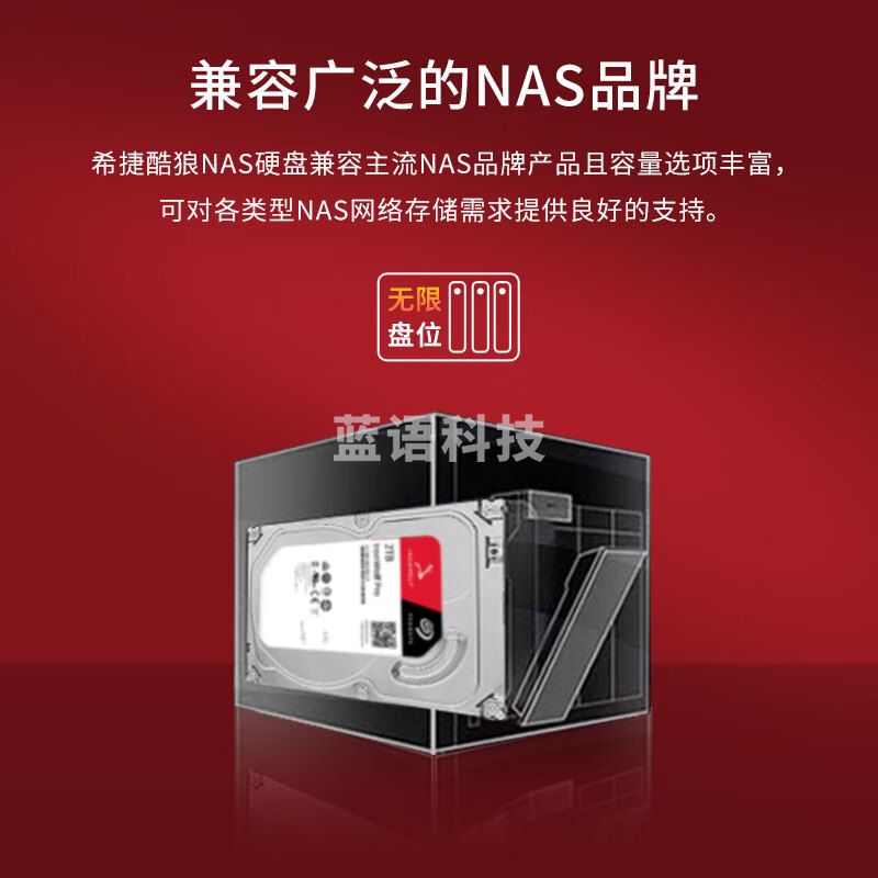 希捷（SEAGATE）NAS硬盘 12TB 企业级 256MB CMR垂直 静音低耗 机械硬盘 希捷酷狼Pro 数据恢复服务 ST12000NT001