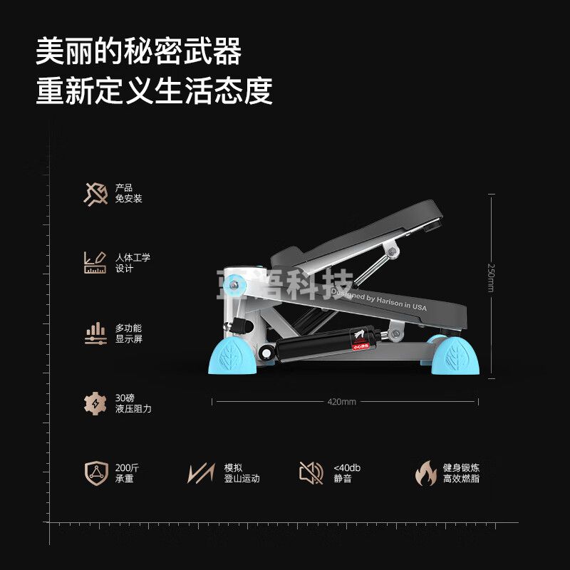 HARISON汉臣踏步机 家用低噪小型迷你 脚踏机 健身器材 HR-306Deco