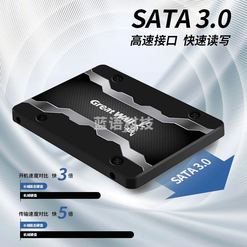 长城（Great Wall）1TB SSD固态硬盘 SATA3.0接口高速读写独立缓存 GW600S系列 读速560MB/S GW600S 1TB