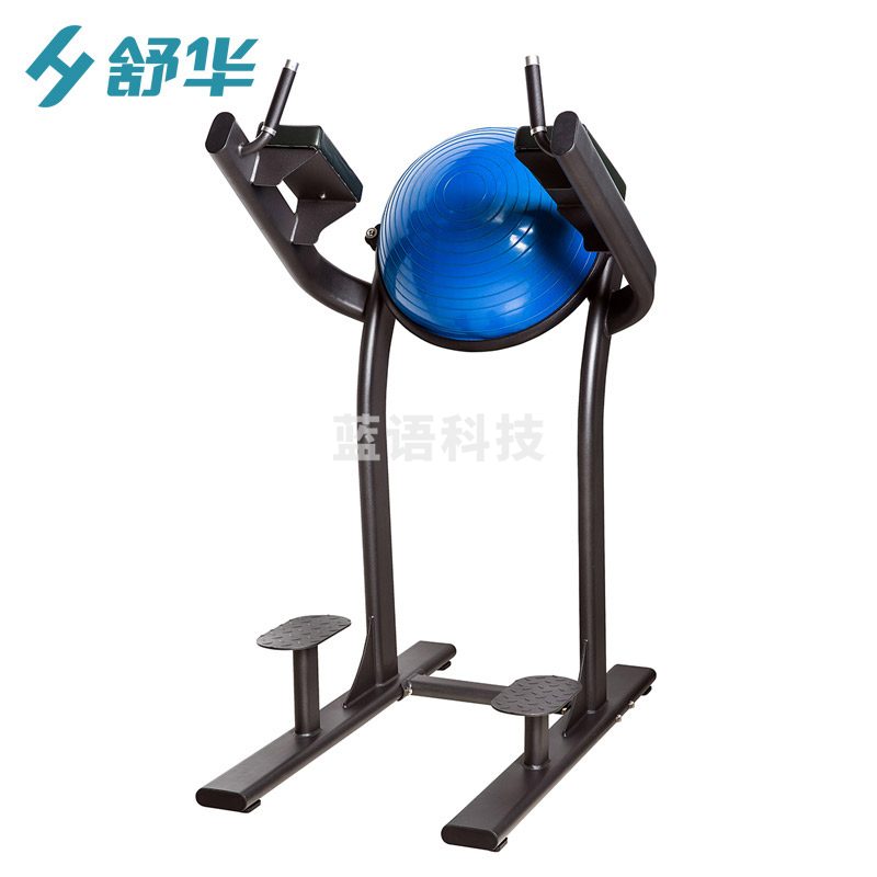舒华 SH-6886 提腿练习器
