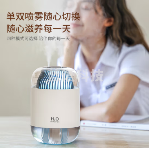海纳斯（HANASS）加湿器双喷头小型办公室桌面大容量家用低音卧室宿舍充电便携空气加湿喷雾夜灯加湿器D12