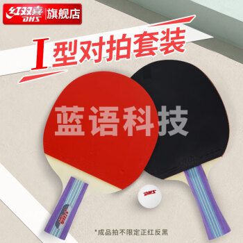 红双喜对拍家庭娱乐健身入门套装两拍一球乒乓球拍I型套拍