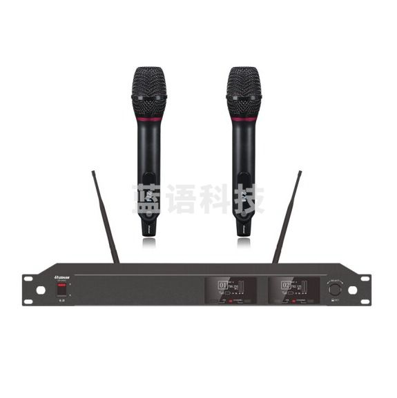 湖山  无线话筒DS-UA20 一拖二无线麦克风 （可当天配送发货）
