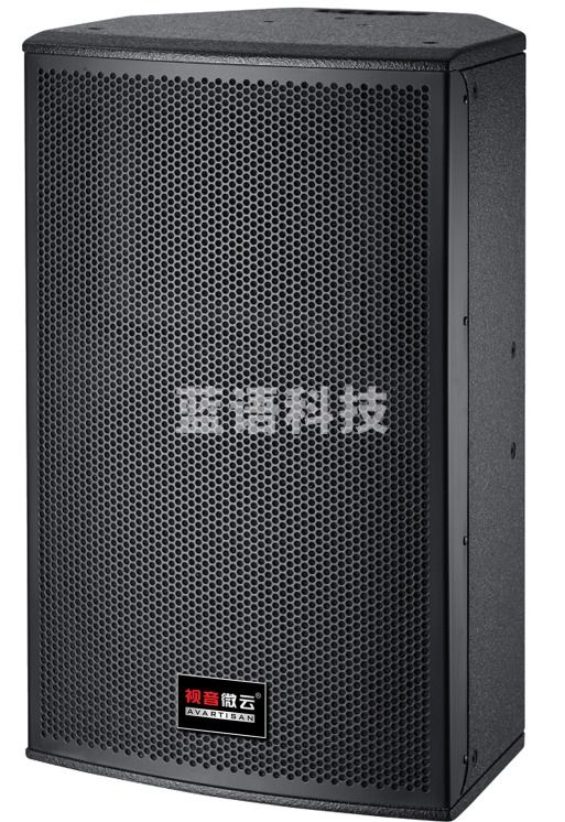 视音微云ZY-TY700P多功能专业音箱250W(带双手持麦克风)