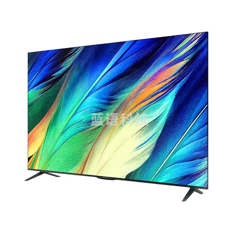 雷鸟 雀4 55F265C 55英寸 4K超高清 超薄电视全面屏 智慧屏 1.5G+8G 游戏巨幕智能液晶电视