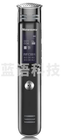 纽曼（Newsmy）录音笔 RV28 16G 时尚PCM无损录音 专业微型高清降噪便携学习培训商务会议留证FM收音机浅锖色