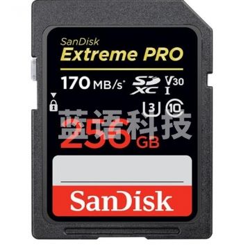 闪迪256G C10高速内存卡 索尼 佳能 尼康 单反微单相机 摄像机 SD一体大卡 存储卡 SDXC读速170MB/S U3 ZX.587