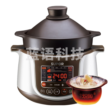 苏泊尔电炖锅DGTG30YC1-60