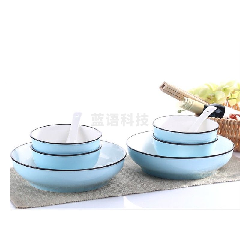 爱依瑞斯（（ARIS）） AS-D1205H 12头餐具套装星空蓝淡雅粉