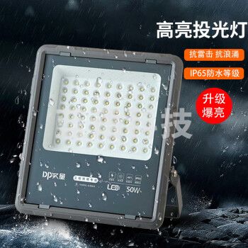 久量（DP）LED投光灯园林照明投射灯 PI65防水户外大功率探照灯工业路灯-50W DP-QPTG50D