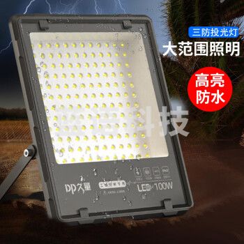久量（DP）LED投光灯园林照明投射灯 PI65防水户外大功率探照灯工业路灯100W DP-QPTG100D