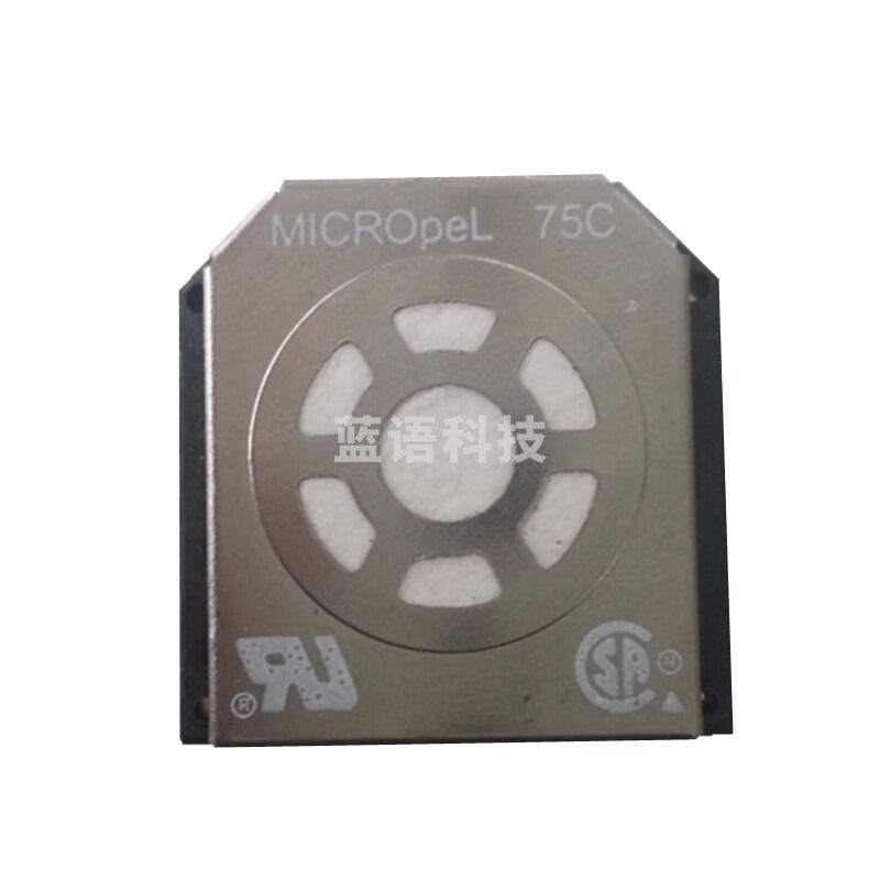 HONEYWELL霍尼韦尔BW四合一气体检测仪可燃气传感器 XL甲烷探头