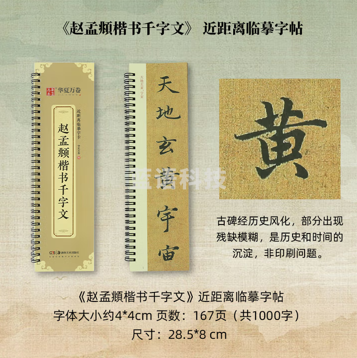 秋月白 近距离临摹字卡 放大版字卡 书法字帖碑帖临摹卡 《赵孟頫-楷书千字文》