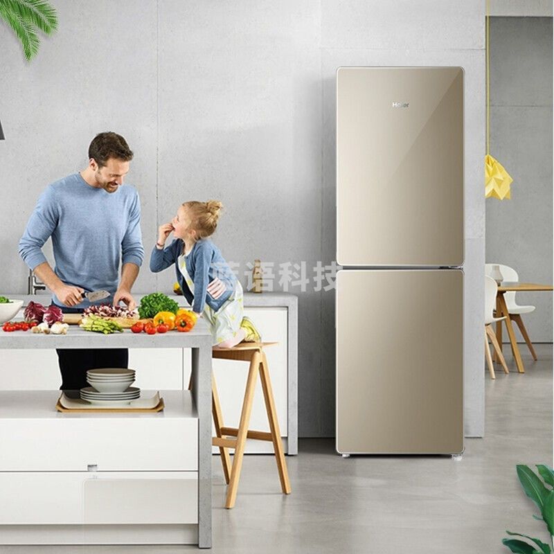 海尔（haier）190升双门冰箱BCD-190WDPT