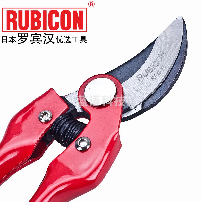 罗宾汉（RUBICON） RPS-75 园林修枝剪树枝剪枝剪果树剪园艺工具 7.5寸整枝剪
