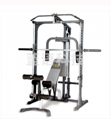 军霞JX-SM3000 史密斯机龙门架带训练凳 家用室内多功能卧推架 史密斯举重深蹲训练器械 龙门架+100KG杠铃片