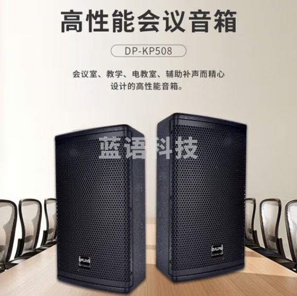 戴浦（DAIPU）DP-KP508 视频会议专用音箱音响 重低音炮音箱 适用会议室/教学/多媒体教室