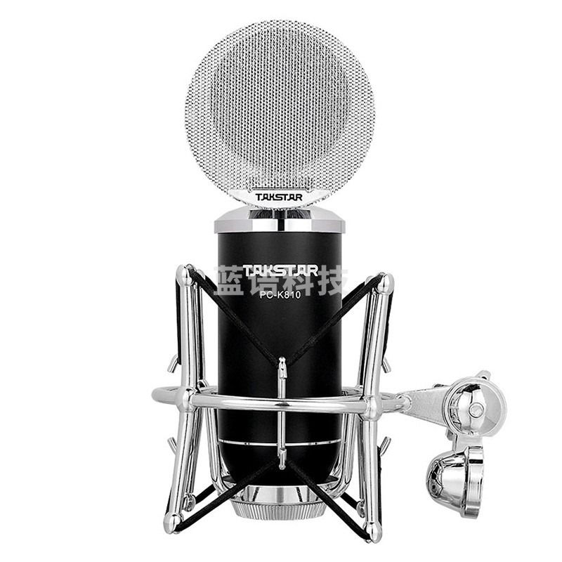 得胜（TAKSTAR） PC-K810电容麦克风主播设备全套电脑手机直播录音话筒K歌话筒 黑色