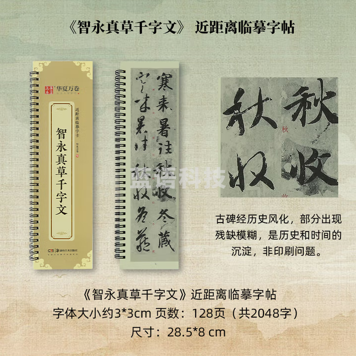 秋月白 近距离临摹字卡 放大版字卡 书法字帖碑帖临摹卡 《智永-真草千字文》