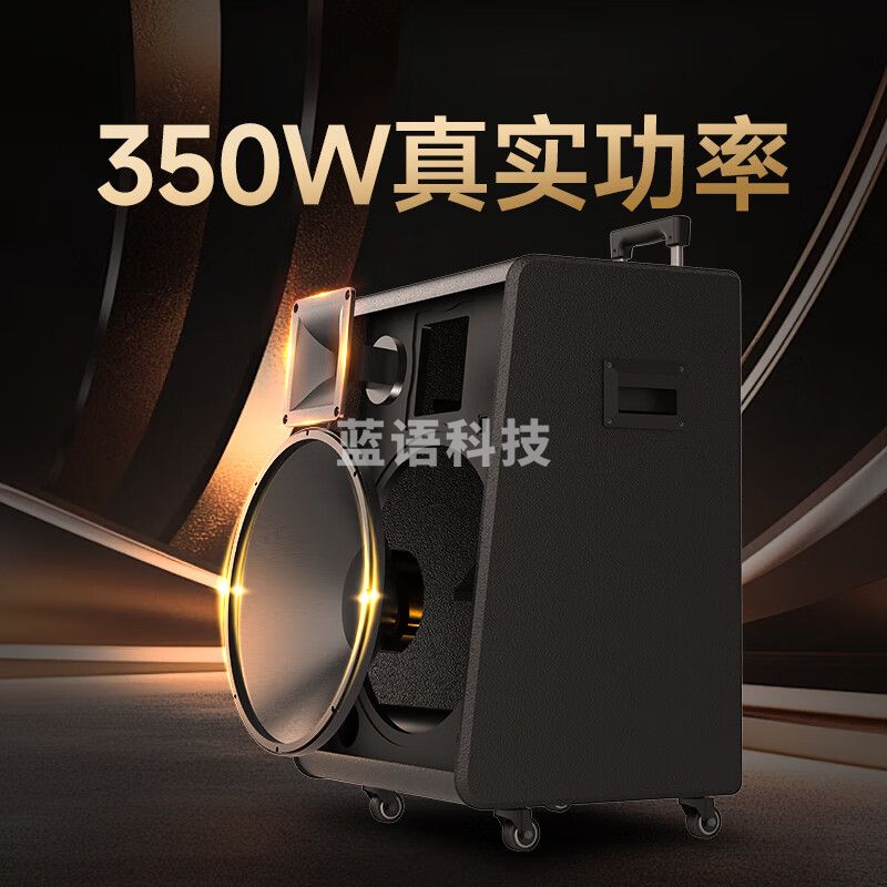 惠威（HiVi）15英寸高端户外音响大功率广场舞拉杆音响乐器音箱专业舞台演出重低音双话筒 MY15