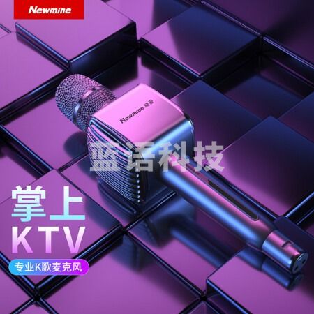 纽曼（Newmine）MC53 蓝牙无线麦克风 话筒音响音箱一体 银色