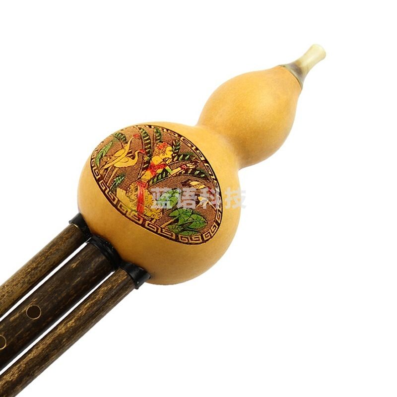 奇宝居 云南葫芦丝乐器 A调/C调/降B大G大F调葫芦丝  普通款 C调