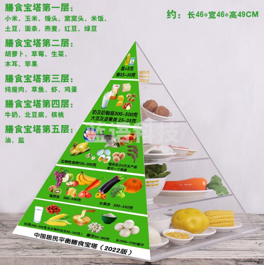 居民平衡膳食模型 营养指导食物交换份教学模型   2022版