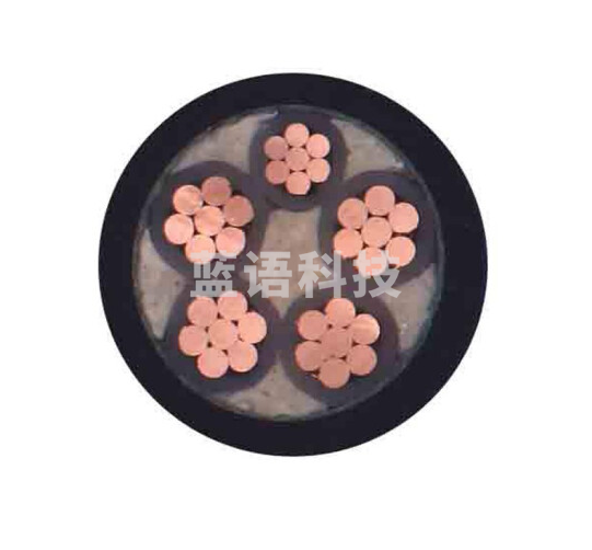 津达线缆 国标YJV5芯电力电缆 硬线 电线 电缆 1M 津达线缆 YJV 5*10M&C25950