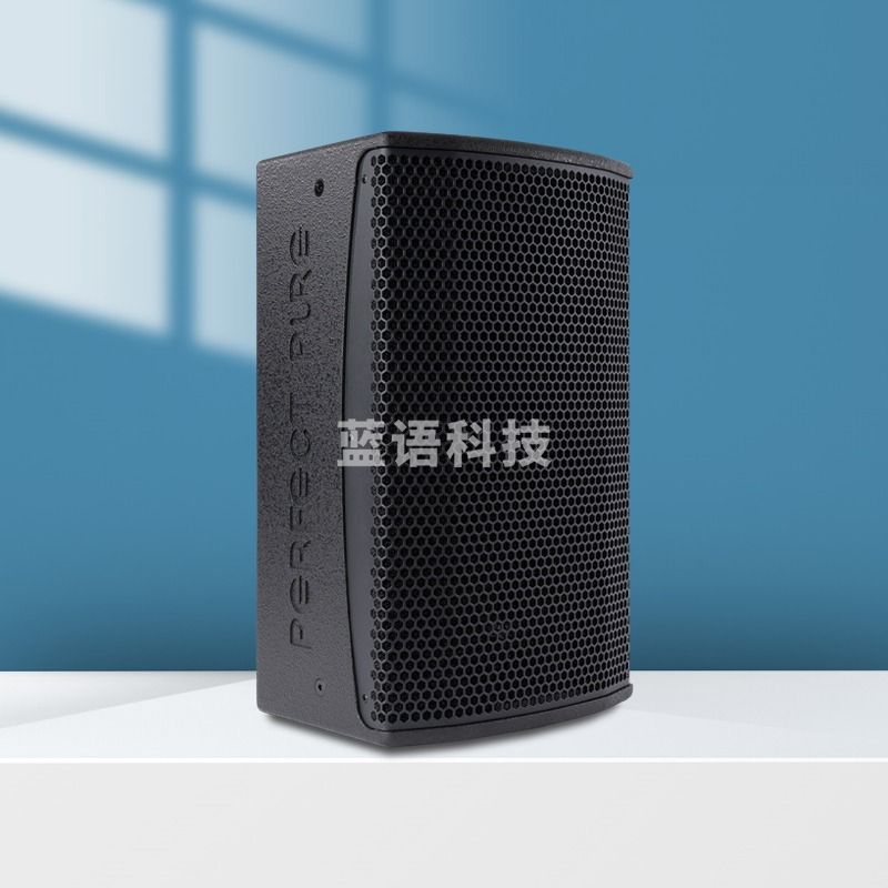 完美本色(Perfect Pure)C10专业10吋全频音箱会议室剧院展览馆扩声补声舞台音响 单只