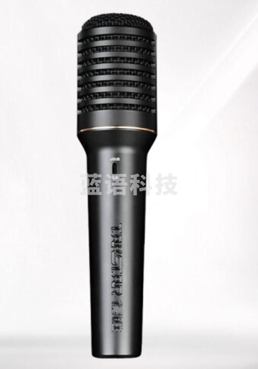 得胜(TAKSTAR)PCM-5600 专业电容麦克风 直播K歌舞台演出录音棚专业录音话筒 TJRRSFYJD202302011251495