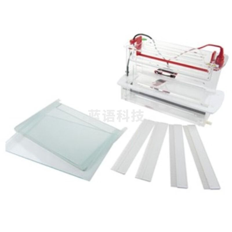 JISENPUER北京君意东方JY-SCZ7垂直电泳槽