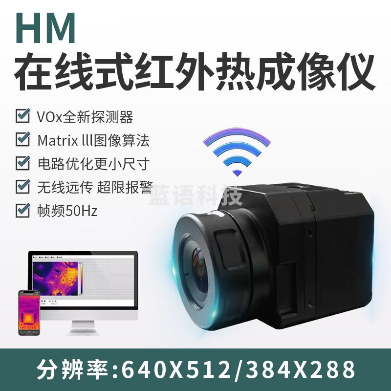 拓普瑞（TOPRIE）热成像夜视仪红外线热感仪热能地暖水电力测漏探测工业消防测温仪 HM31（分辨率：384*288) -20~600度