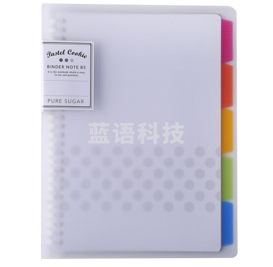 国誉(KOKUYO)WSG-RUCP11NT淡彩曲奇B5活页本Campus笔记本子活页纸替换芯精美5色索引分隔页 40张 透明