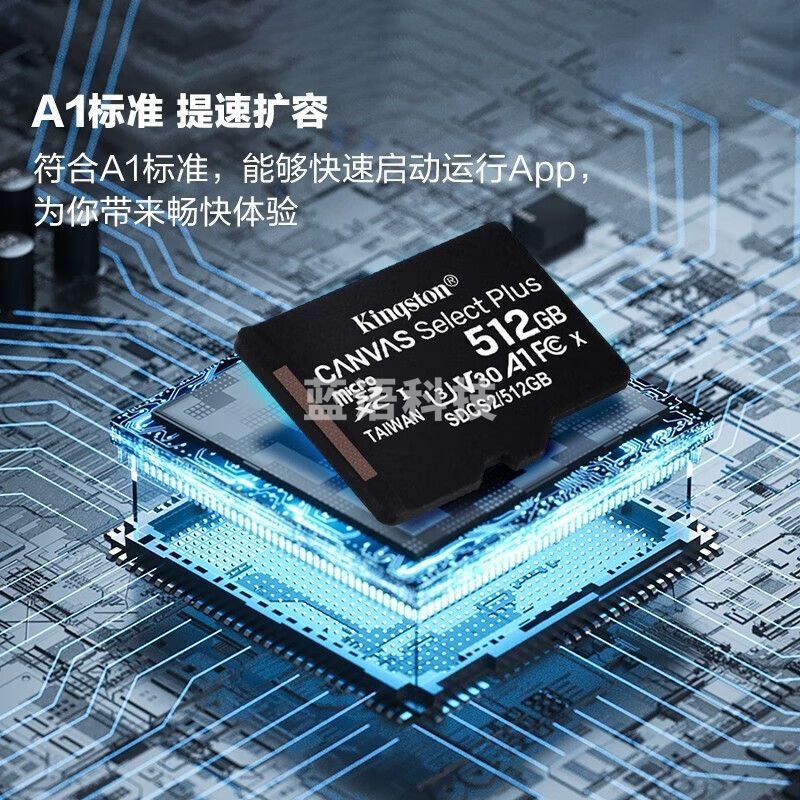 金士顿（Kingston）512GB TF（MicroSD） 存储卡 U3 A1 V30 读100MB/s 游戏机 监控运动相机 行车记录仪 无人机内存卡 SDCS2/512GB