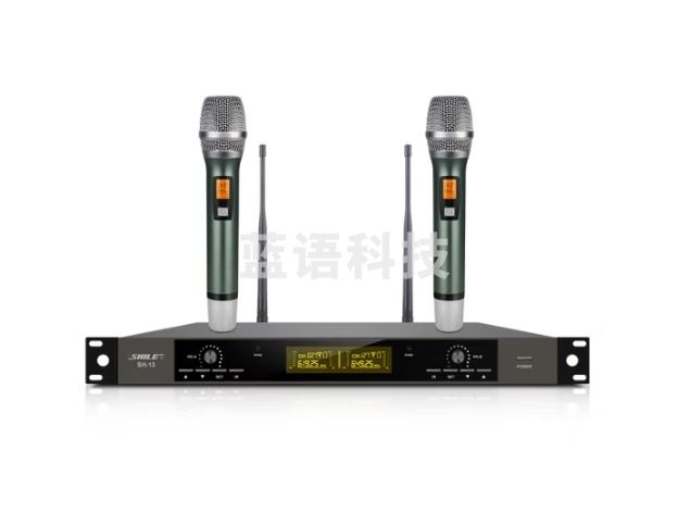 狮乐（SHILE） SH-13话筒U段可调频专业KTV唱歌无线话筒培训会议用一拖二话筒