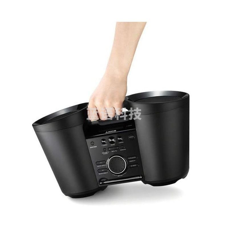 索尼（SONY） Portable便携式蓝牙收音机复古 超低音立体声音箱ZSBTY50 黑色