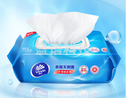 维达（Vinda）湿巾 杀菌湿巾纸 清洁无刺激卫生湿巾 80片/包装