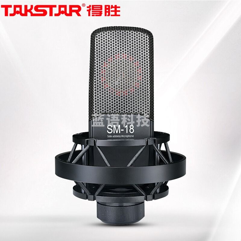 得胜(TAKSTAR) SM-18 EL麦克风K歌直播设备专业录音唱歌话筒手机电脑通用外置声卡套装 SM-18 EL官方标配 银色