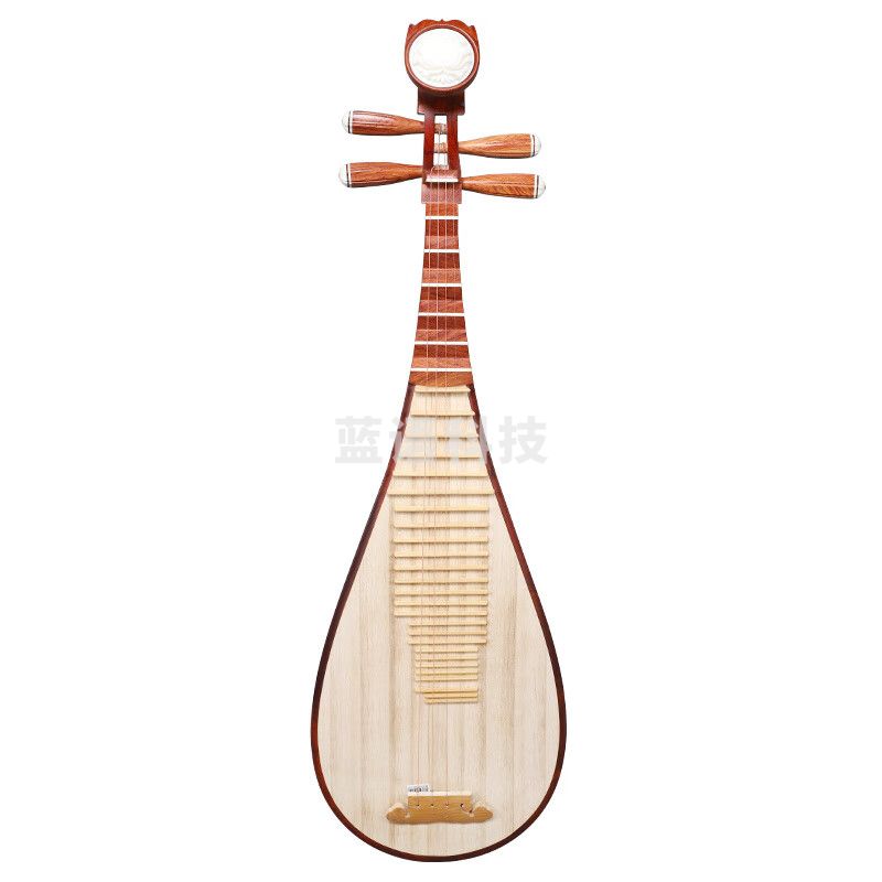 乐海琵琶乐器考级演奏奥氏黄檀木材质木轴木相酸枝木琵琶DJ14