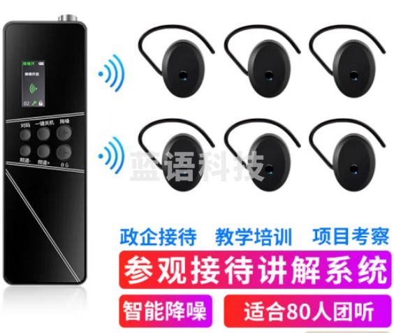 山水间P64R 无线讲解器 一对多讲解 户外教学同声传译 1讲+80人听+80孔USB