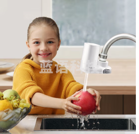 飞利浦（PHILIPS）AWP302 家用净水器原装高效除氯滤芯（适配设备AWP3600）