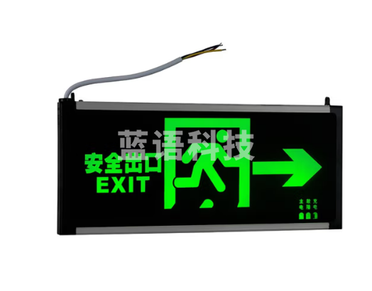 神龙 应急灯 消防疏散指示灯 安全出口灯 消防标志灯 单面右