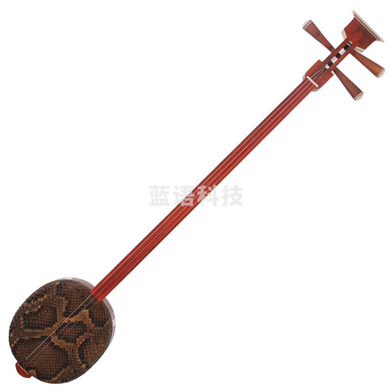 星海8321 大三弦 初学考级专业演奏