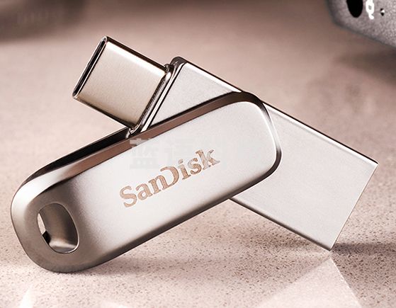 闪迪（SanDisk） Type-C USB3.1手机U盘DDC4高速版手机电脑双接口两用全金属U盘 USB3.1两用金属U盘-银色 256G