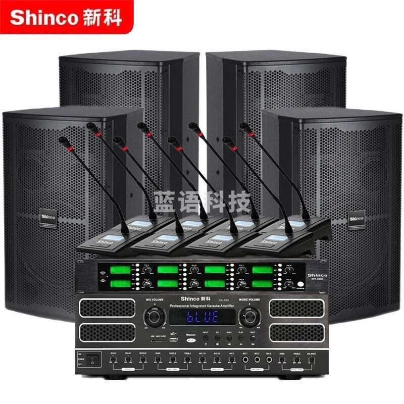 新科（Shinco）   家庭影院ktv音响套装  D810音箱一对  1中音1高音